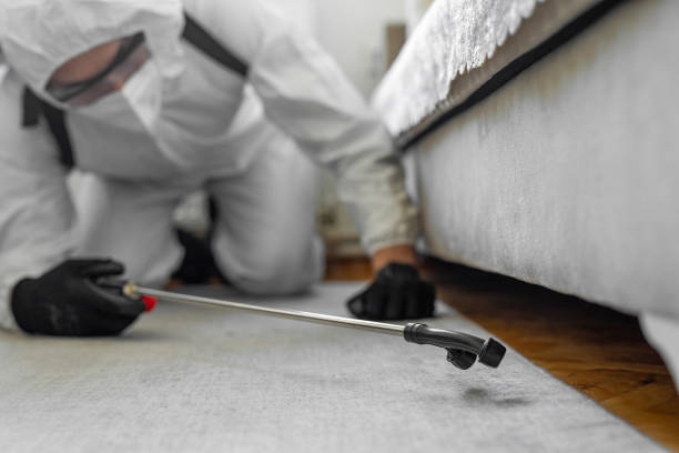 Professional Termite Control technician working in Fabens, TX