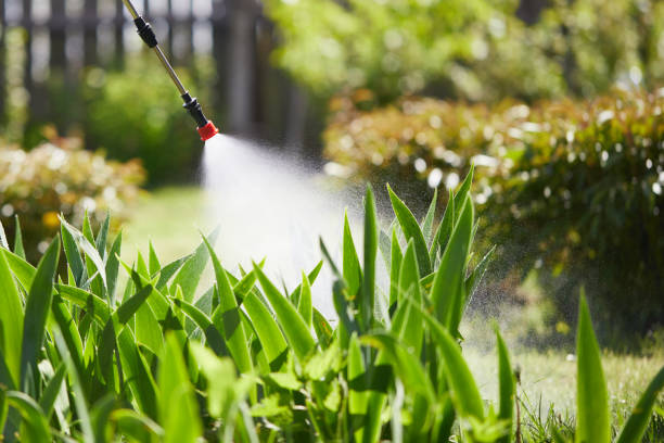 24/7 Emergency Termite Control experts in Fabens, TX