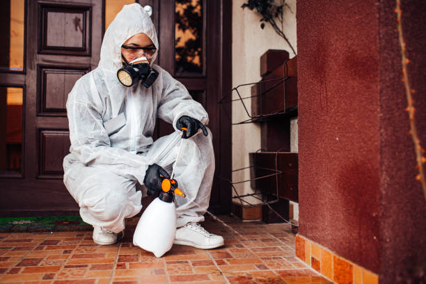 Reliable Termite Control contractor in Fabens, TX by Nex Pest Control